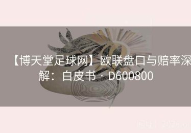 【博天堂足球网】欧联盘口与赔率深解：白皮书 · D600800