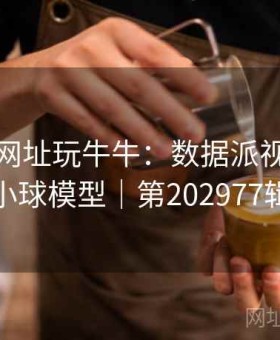 上开云网址玩牛牛：数据派视角｜大小球模型｜第202977辑