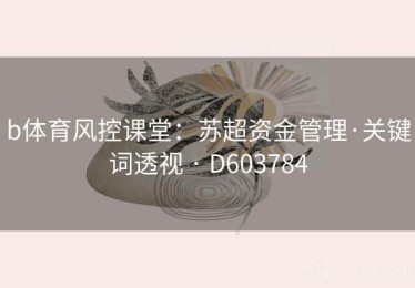 b体育风控课堂：苏超资金管理·关键词透视 · D603784