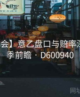 【九游会】意乙盘口与赔率深解：赛季前瞻 · D600940
