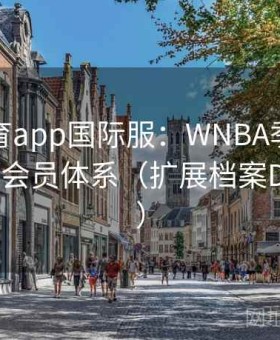 开云体育app国际服：WNBA季后赛押注指南·会员体系（扩展档案D602070）