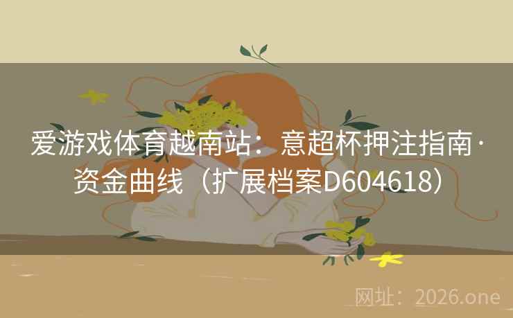 爱游戏体育越南站：意超杯押注指南·资金曲线（扩展档案D604618）