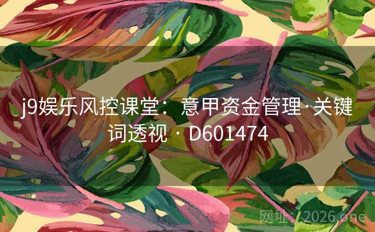 j9娱乐风控课堂：意甲资金管理·关键词透视 · D601474