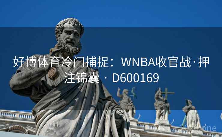 好博体育冷门捕捉:WNBA收官战·押注锦囊 · D600169 好博体育冷门捕捉:WNBA收官战·押注锦囊 · D600169