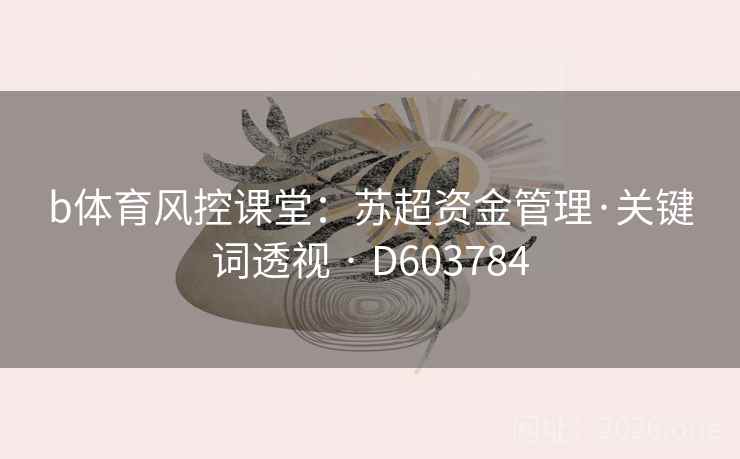 b体育风控课堂：苏超资金管理·关键词透视 · D603784