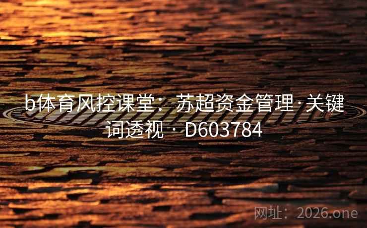 b体育风控课堂：苏超资金管理·关键词透视 · D603784